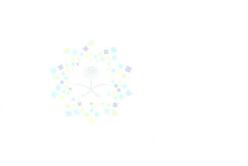 رؤية 2030